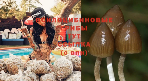 прущие крисы Балабаново